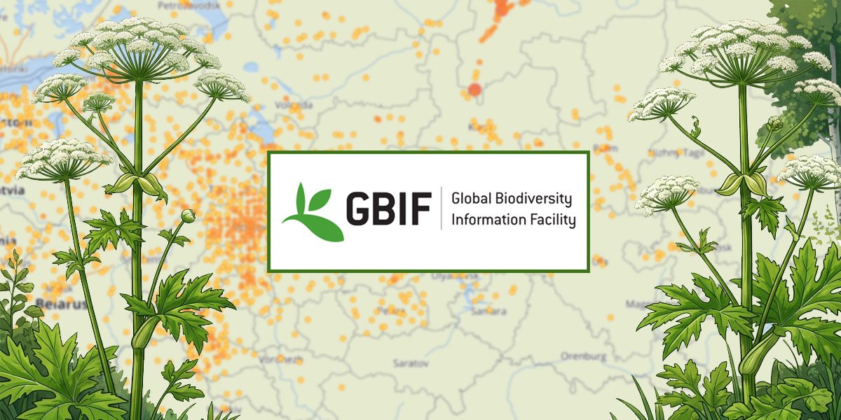 Как бесплатно скачать данные GBIF